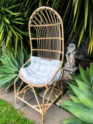 Rattan Egg Chair